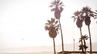 红桃免费-纪录片片段